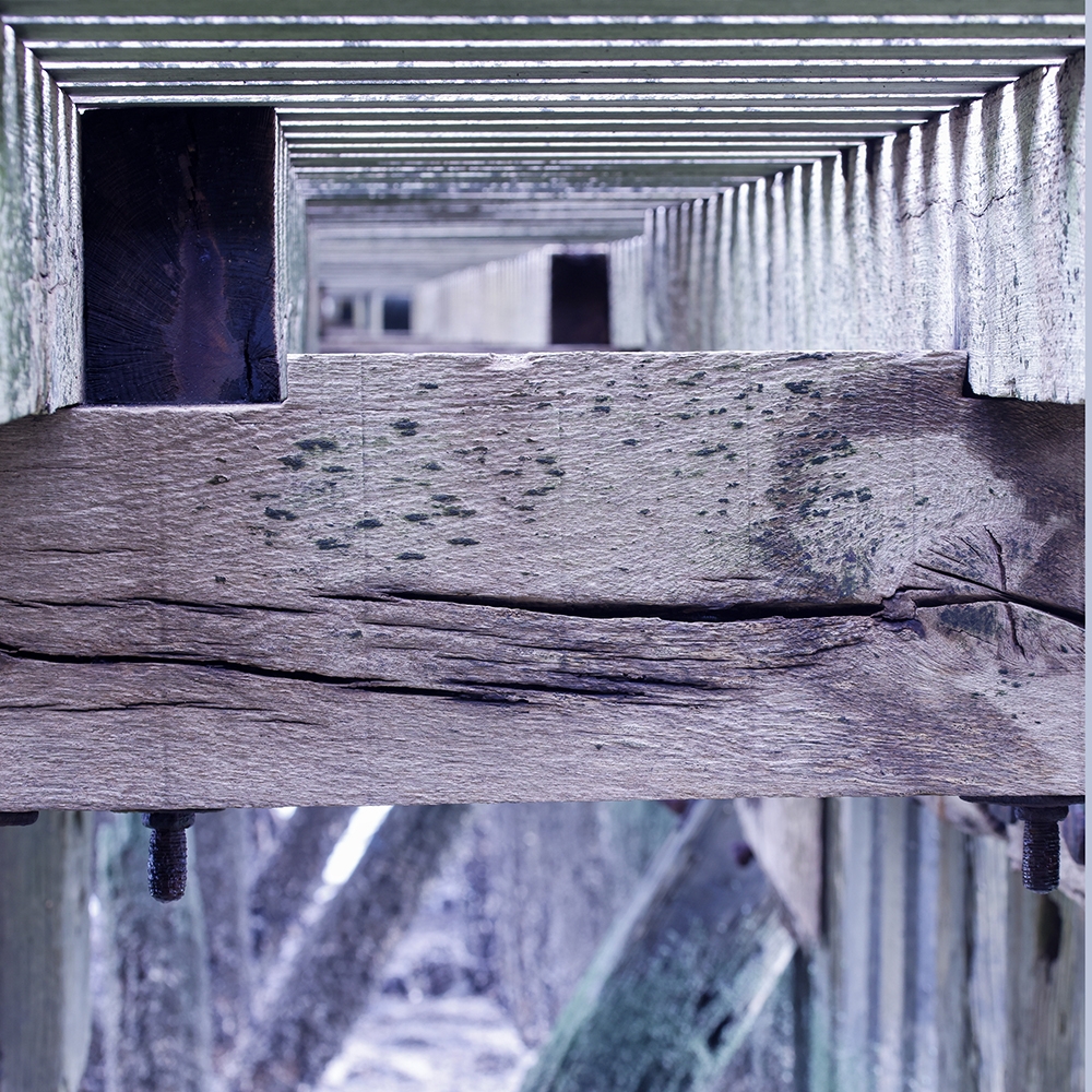 Een tweeluik gemaakt in Westkapelle, Zeeland: een doorkijkje onder de steiger en alikruiken in één van de staanders. 