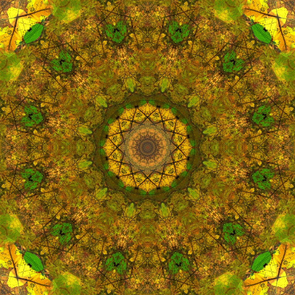 Mandala 8