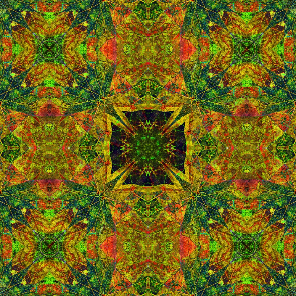 Mandala 13