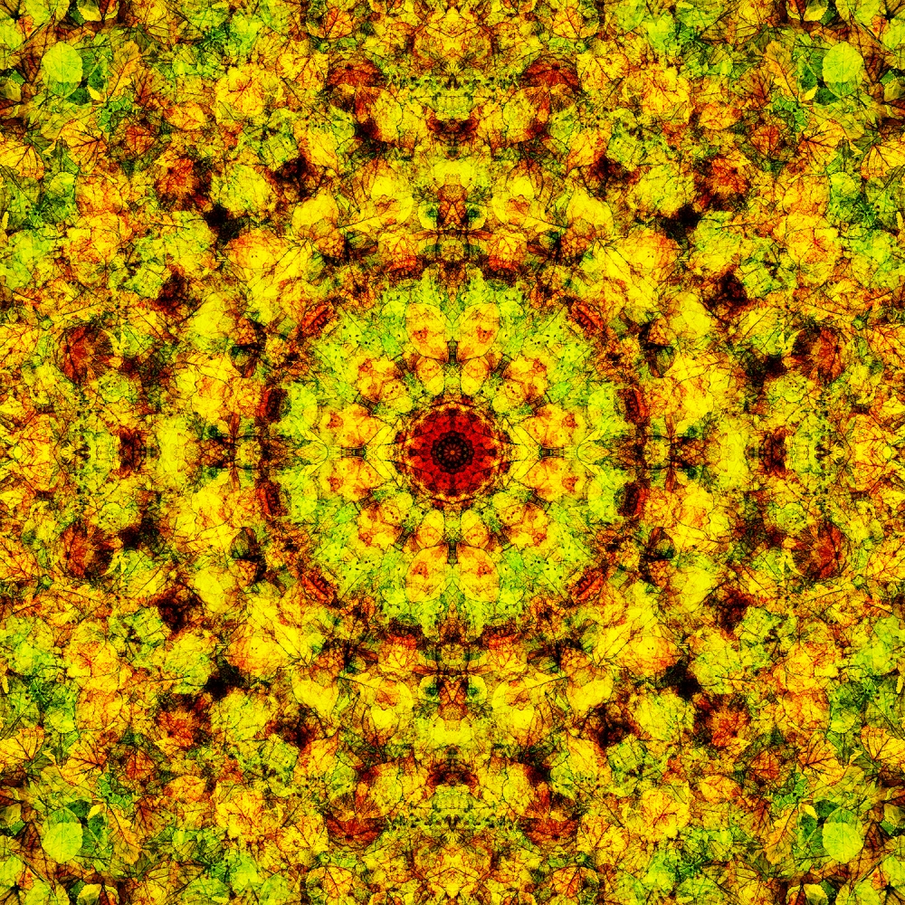 Mandala 5