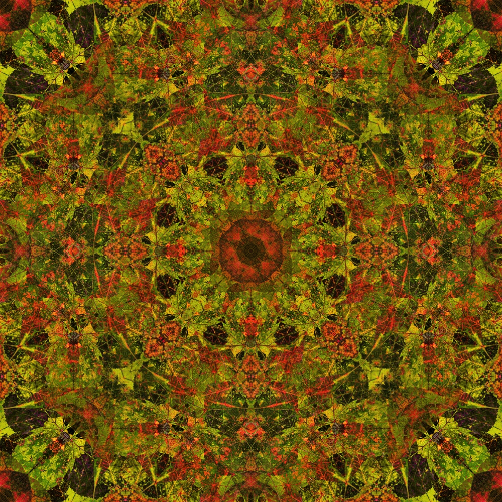 Mandala 7