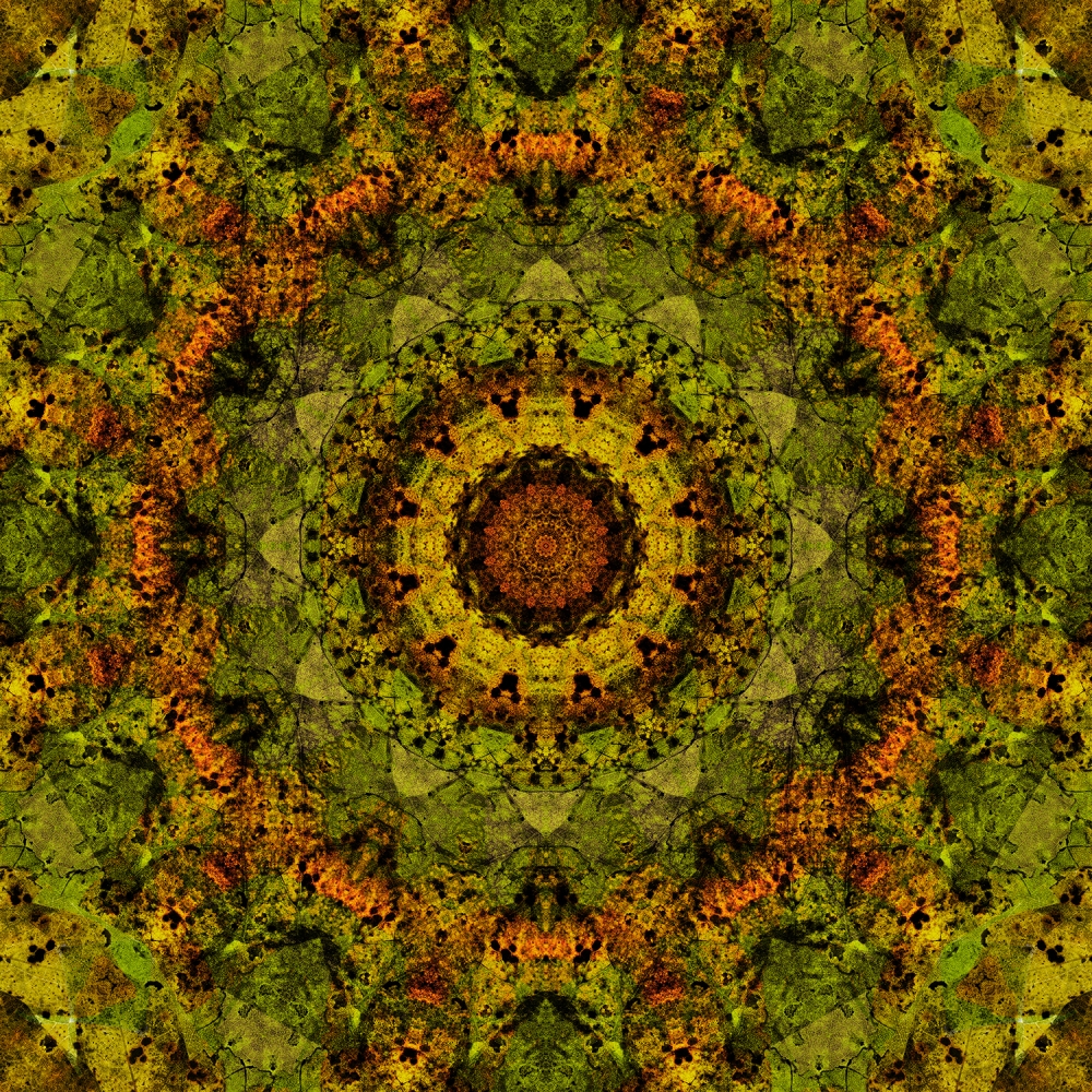 Mandala 9