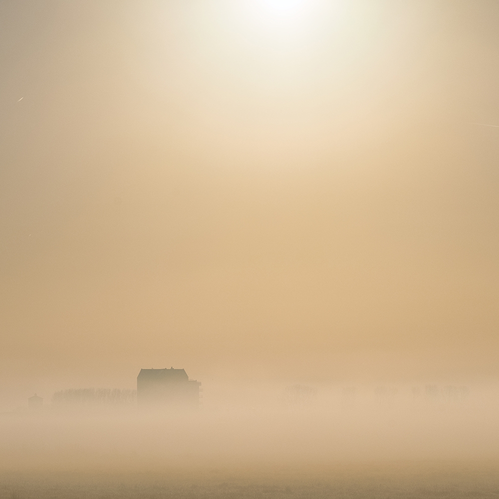 Een mistige morgen in de polder bij Gouda, Zuid-Holland.