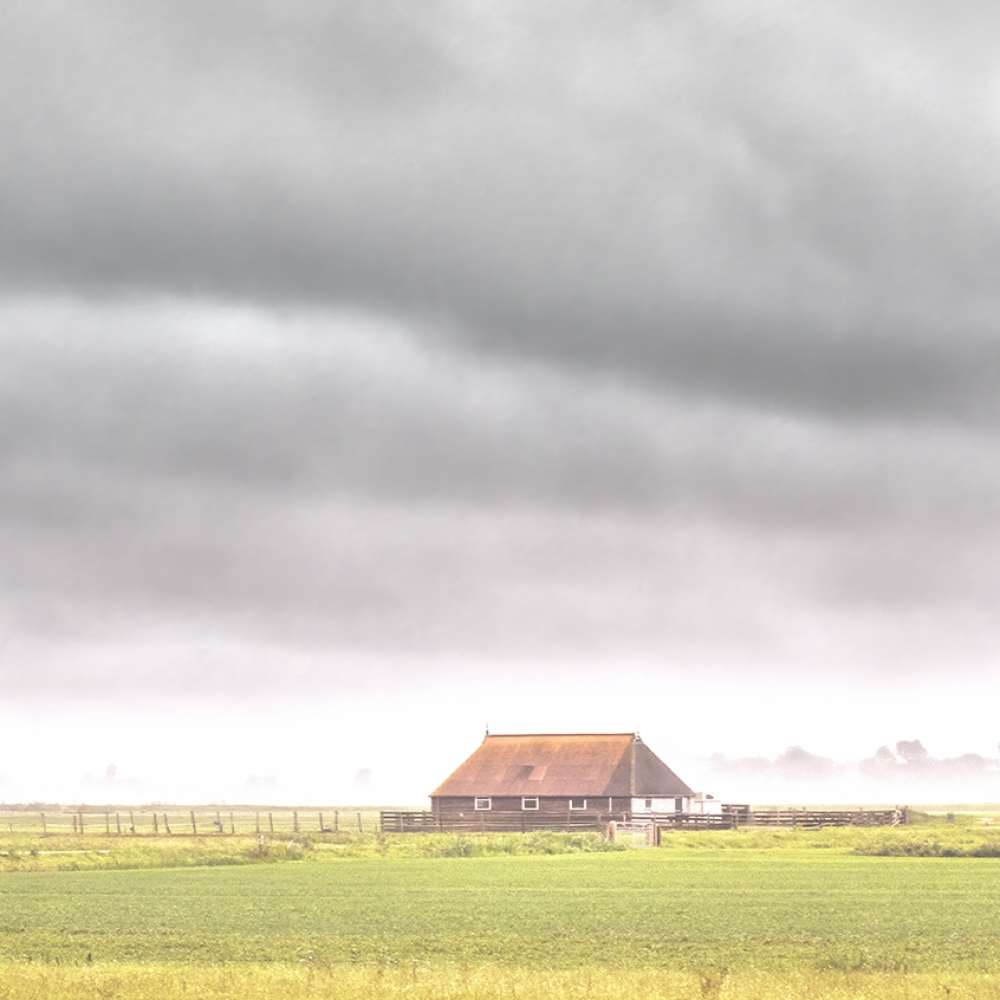 Boerderijen bij het Heegermeer in Friesland, op een grijze dag.