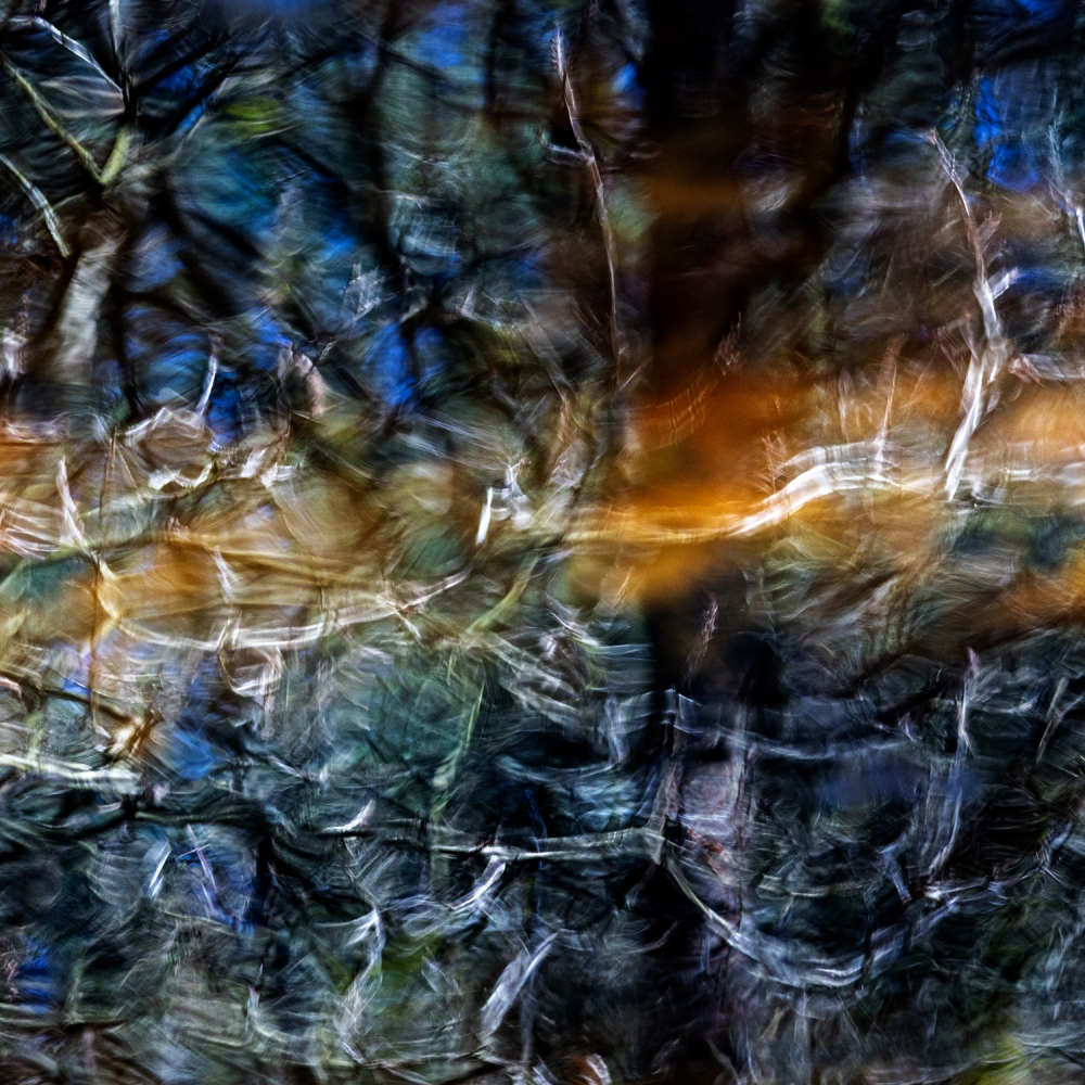 Een weerspiegeling van bomen lijkt haast een glas-in-loodraam. Veluwe, Gelderland.